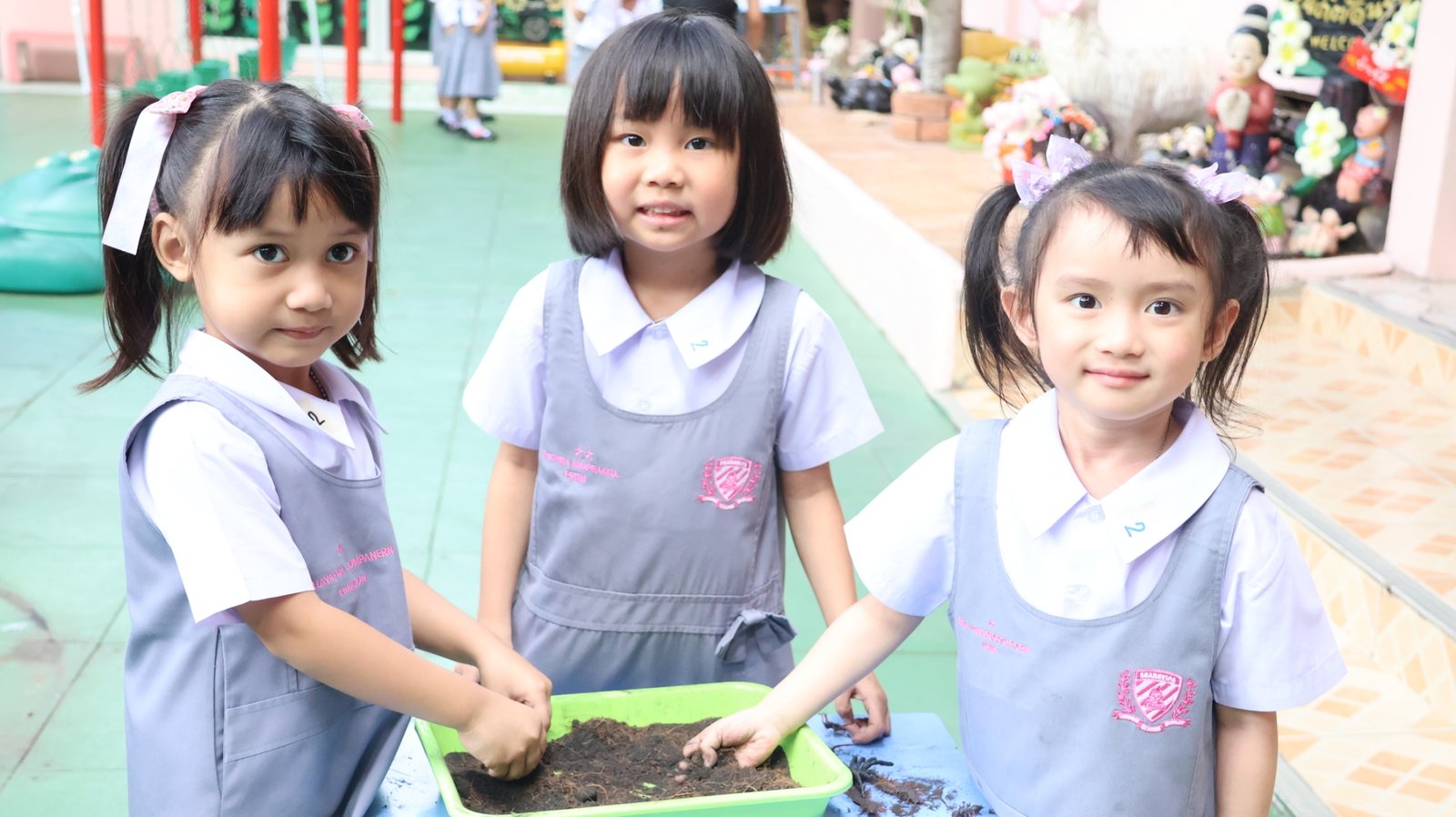 Day Camp วิทยาศาสตร์อนุบาล1-3